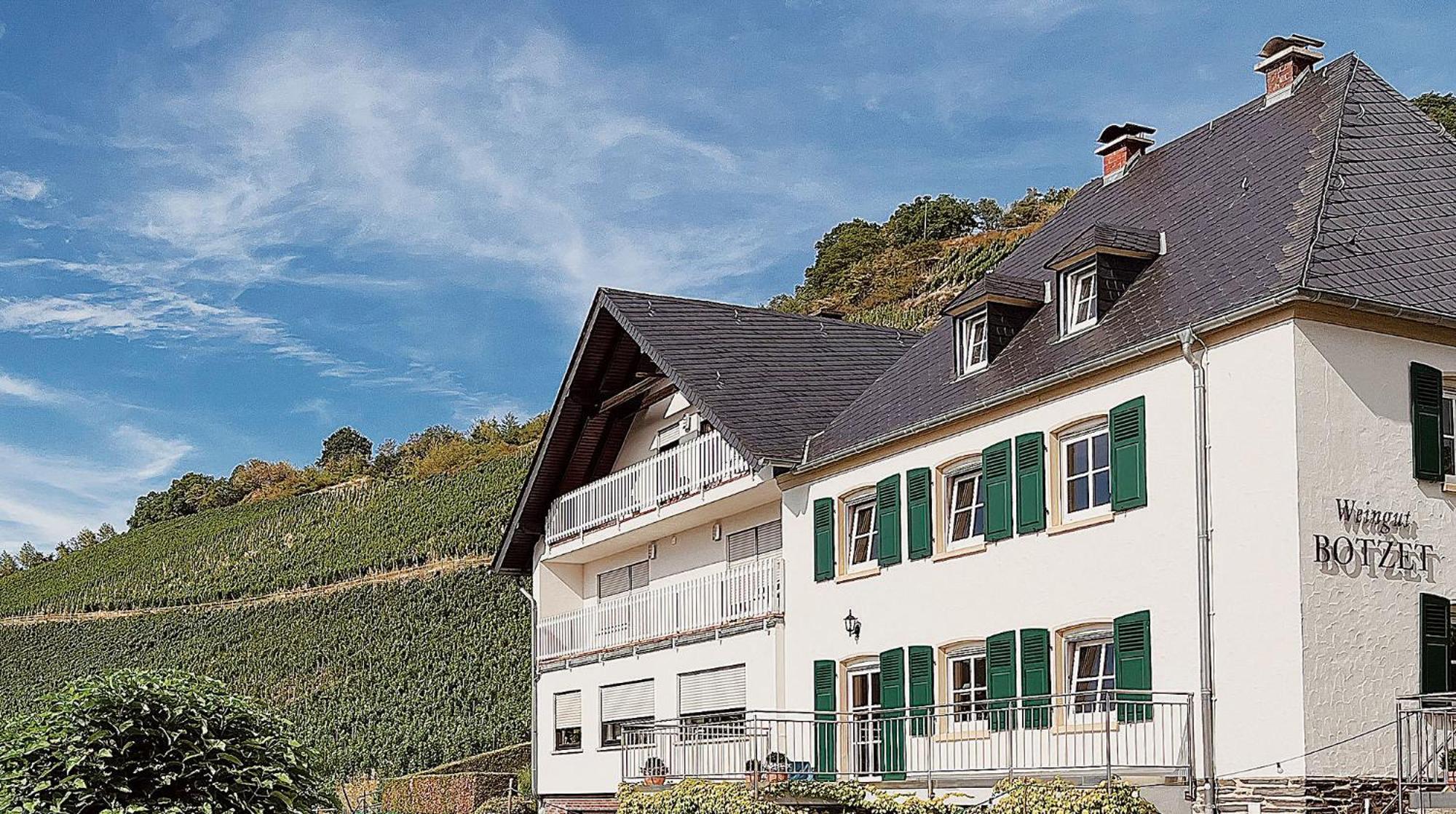Pension 1595 Im Weingut Botzet Maring-Noviand Kültér fotó